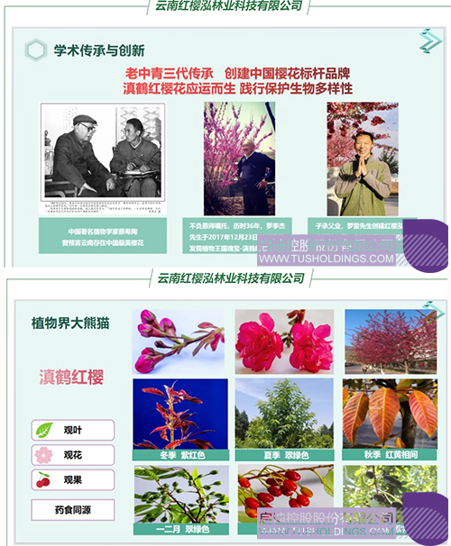 1718677003792409.jpg 未標(biāo)題-1cc.jpg